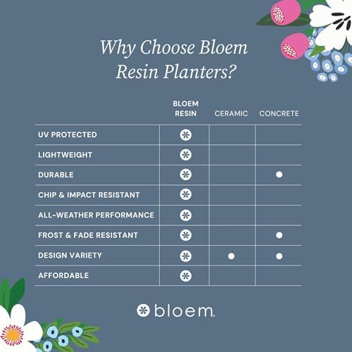 Bloem Terra 6" Plastic Planter, 0.5 Gallon, Vanilla Bean, 10-Pack - Image 4