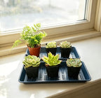 4 Pack Rectangular Plant Saucer 16 Inch, Heavy Duty Plastic Drip Trays for Pots, Windowsill Planter, Indoor Outdoor, 7.0 x 16.1 Inches, Blue - Image 4