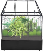 Glass Terrarium with Metal Tray, Glass Greenhouse Terrarium Kit - Image 4