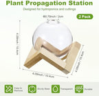 M METERXITY 2 Pack Glass Planter Terrarium with Wooden Stand, Desktop Plant Propagation Station Bulb Vase for Hydroponic Plants Propagation/Home Garden Decor/Plant Lover [Transparent] - Image 3