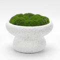 6'' Handmade Cement Bowl–Artificial Moss Centerpiece for Home Decoration by NAHARO