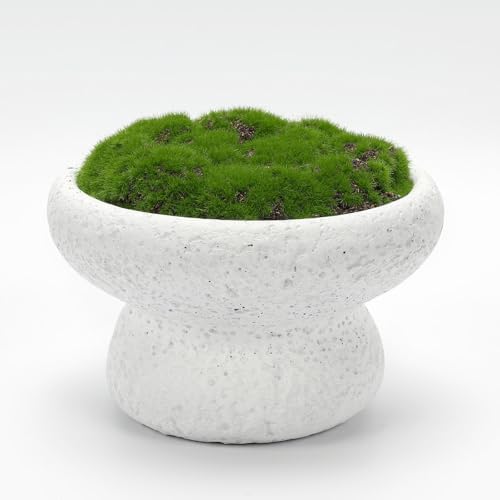 6'' Handmade Cement Bowl–Artificial Moss Centerpiece for Home Decoration by NAHARO