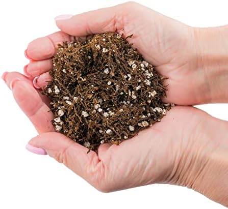 Gardenera Fern + Perlite Soil Mix - 10 Quart - for Repotting and Planting Succulents and Cactuses (2 Bags of 5 Quart) - Image 5