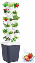 Plants Propagation Station by Biggun