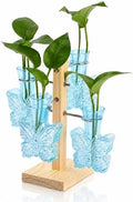 Nacome Plant Terrarium Propagation Stations: Blue Vase with Wooden Stand by Nacome