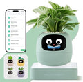 PLANTSIO Smart Plant Pot with Screen, 80ml Self-Watering Planter Green by PlantsIO