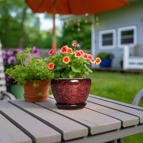 6 Inch Ceramic Pots for Plants - Indoor Plant Pots with Drainage Hole and Saucer, Decorative Planters for Outdoor Plants, Modern Planter, Living Room Decor, Gardening Gifts, Red Leopard - Image 4