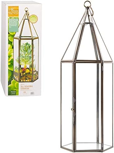D'Eco Glass Tall Hexagon Plant Terrarium, & Centerpiece (Dims:5x5x14) - Image 2