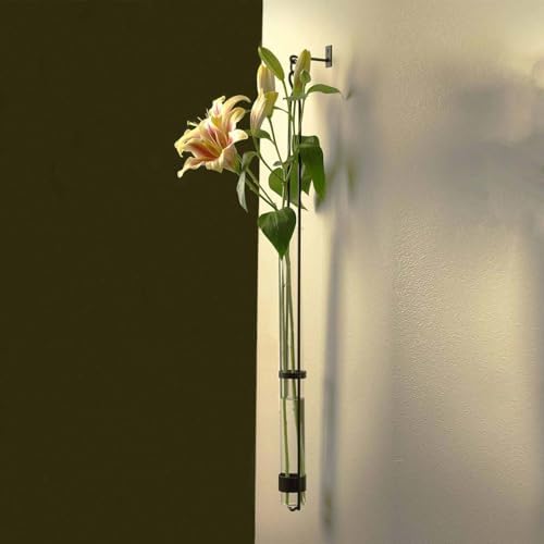 Couronne Company M046-001 Florence Hanger & Wall Hook, 31", Clear, 1 Piece - Image 6