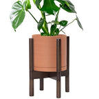 D'vine Dev Terracotta Pot with Walnut Wood Stand, 8 in, 55-B-Y-5 by DvineDevPlanterPotsandStand