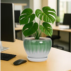 Deep Dream 8 Inch Plant Pots- Ceramic Pots for Plants with Drainage Hole and Saucer, Large Planter Pot for Indoor Plants Outdoor Decor, White&Green - Image 4