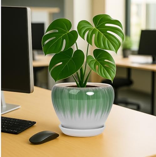 Deep Dream 8 Inch Plant Pots- Ceramic Pots for Plants with Drainage Hole and Saucer, Large Planter Pot for Indoor Plants Outdoor Decor, White&Green - Image 4