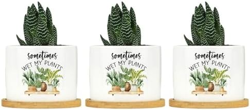 DreamAutumn Sometimes Wet My Plants Ceramic Pots for Plants with Drainage Holes Round Flower Pot Bamboo Tray Orchid Pot Succulents Pots for Outdoor Indoor Plants,Set of 3 - Image 6