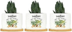 DreamAutumn Sometimes Wet My Plants Ceramic Pots for Plants with Drainage Holes Round Flower Pot Bamboo Tray Orchid Pot Succulents Pots for Outdoor Indoor Plants,Set of 3 - Image 6