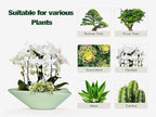 Bonsai Pot - 12 Inch Ceramic Planter Pot with Drainage Hole Large Modern Planter Decorative Glazed Succulent Plant Pot for Indoor Outdoor Plants Green - Image 7