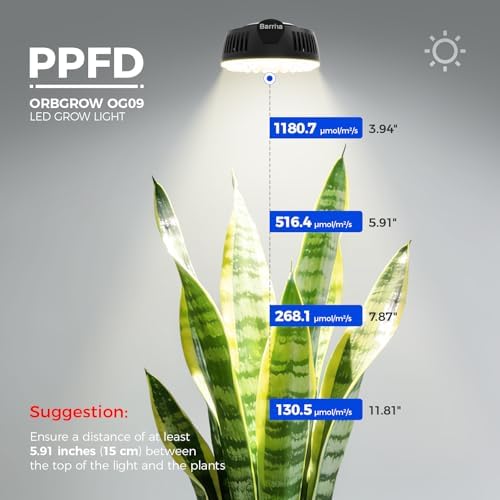 Barrina OG09 Grow Light, 36W(4 x 9W), 660nm Red LEDs, Timer, 4 Packs, Black - Image 6