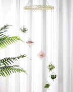 Willinglong 6 Pcs Hanging Air Plant Holder, Gold Tillandsia Air Plant Holders Unique, Airplants Live Holders, Air Fern Macrame Display for Indoor Home Office Ceiling Wall Decor - Image 4
