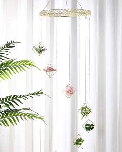 Willinglong 6 Pcs Hanging Air Plant Holder, Gold Tillandsia Air Plant Holders Unique, Airplants Live Holders, Air Fern Macrame Display for Indoor Home Office Ceiling Wall Decor - Image 4