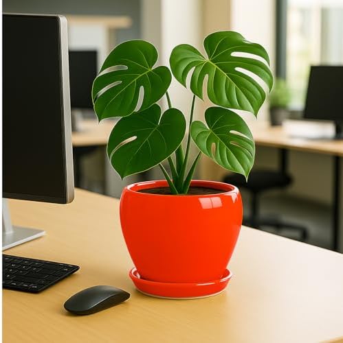 Deep Dream 8 Inch Plant Pots- Ceramic Pots for Plants with Drainage Hole and Saucer, Large Planter Pot for Indoor Plants Outdoor Decor, Red - Image 4