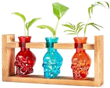Plant Propagation Station with Skull Glass Vases, 3 Propagation Tubes in Wooden Stand, Hydroponic Decor for Home(Color4) by Unknown