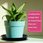 Eccliy 6 Pack Plastic Plant Saucer, Round, 14 Inch, Black - Image 5