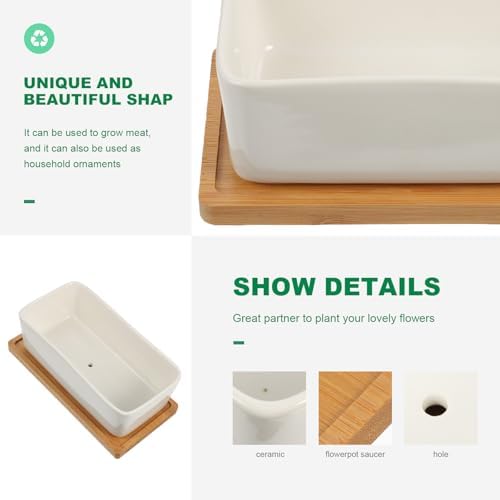 TEHAUX 2 Sets Ceramic Succulent Flowerpot with Tray for Desk Decor - Image 7