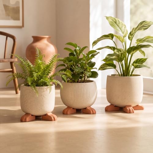 LemonRoad 12 Set Lion Paw Pot Feet for Outdoor Planters, Terra Cotta Cement - Image 4