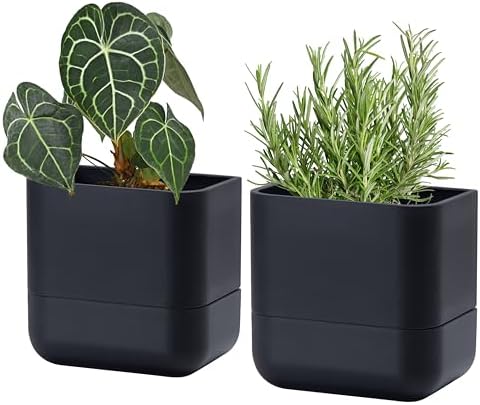 Phoenix Vine 6.5 Inch Wall Mounted Self-Watering Planter Pot for Indoor Houseplants and Herbs | Hanging Planter for Window Sills, Bathroom Walls, Home & Office Décor, Black, Set of 2, 01-C-E-2 by Phoenix+Vine