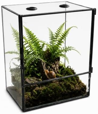 ZMG Glass Terrarium Front Door Top Vents, Rectangular Snail Habitat Planter by ZMG