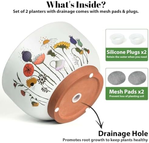 Terracotta Pots, 8+6 Inch Plant Pots, 2 Pcs with Drainage Holes - Image 4