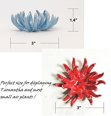 6 Pack air plant Holders (6Pcs Air Plant Containers w/6 Colors Assorted) A Ceramic Coral Set to CreateGifts or Decorate Tabletop - air plants Not Included - Image 7