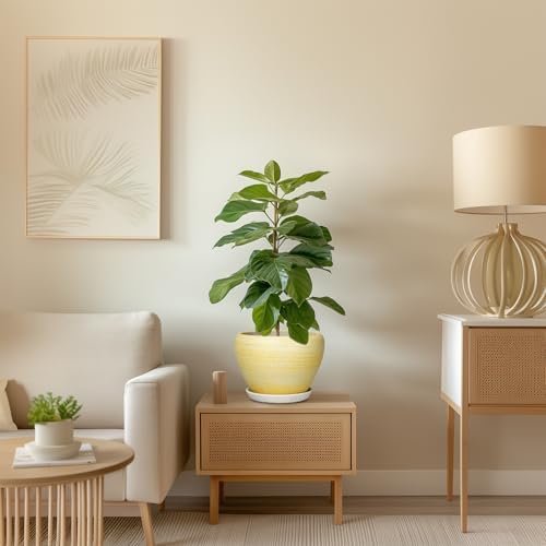 Ceramic Plant Pots, 8 Inch Planter with Drainage, Textured Yellow - Image 7