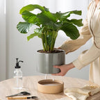 8 Inch Ceramic Self Watering Planter with Drainage Hole, Dark Grey - Image 3