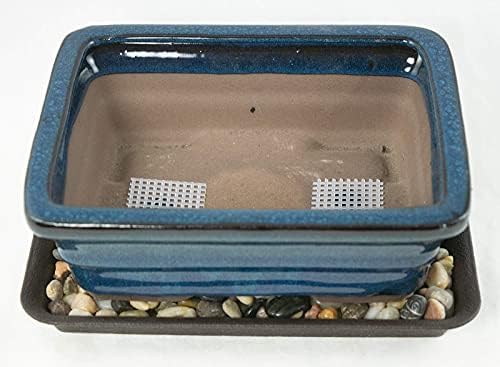 8" Rectangular Dark Blue Bonsai / Succulent Pot + Tray + Rock + Mesh Combo - Image 2