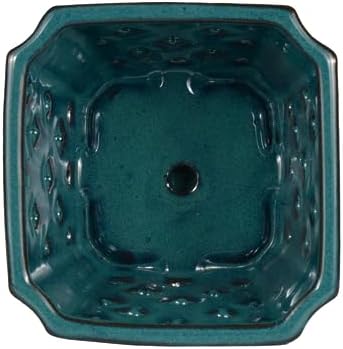 Orchid Pot with Holes and Saucer for Repotting and Better Grow, Teal, 7" - Image 5
