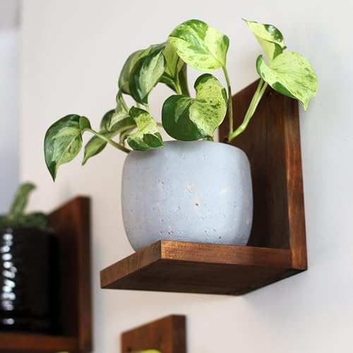 Daniel's Plants 3 Pack Midcentury Modern L Shaped Floating Shelves | Wall Mounted Plant Shelf Kit | Solid Wooden Shelf | 3 Shelves (Woodland Brown) by DanielsPlants