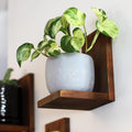 Daniel's Plants 3 Pack Midcentury Modern L Shaped Floating Shelves | Wall Mounted Plant Shelf Kit | Solid Wooden Shelf | 3 Shelves (Woodland Brown) by DanielsPlants