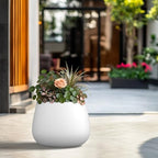 Kante Modern Home Minimalist 12.6" Dia Snow White Concrete Curved Planter - Image 5