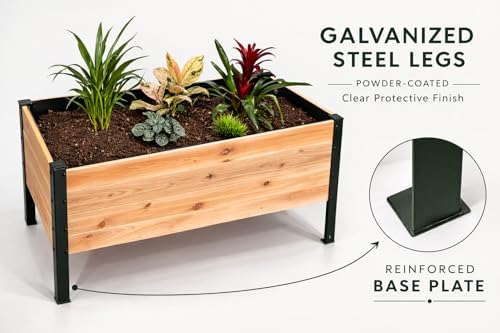 Western Red Cedar Planter Raised Garden Bed Planter Box - 48x20x28 inch with Powder-Coated Steel Legs - Ideal for Vegetables, Herbs, and Flowers, Elevated, Core Series - Image 5