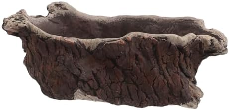 Vintage Creative Cement Tree Root Planter for Indoor Succulents by LIFKICH