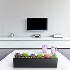 DR&Co Modern Black Trough Rectangular Planter, 16“ Metal Window Planter Box for Succulent, Small Rectangle Box for Desk or Windowsill, Stainless Steel, Great Gift Ideas for Women Men - Image 7