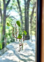 2 Willow Window Plant Propagator- Window Propagation Station | Removable Glass Test Tubes for Indoor Clippings, Cut Flowers, Herbs, Succulents | Home Decor | (2 Willow) - Image 6