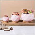 Flower Pot Ceramic Flower Planter Pots with Drain Hole Marble Pattern Modern Succulents Containers for Home Decor Indoor Flower Plant Pots Gardening Containers，Blu-C - Image 3