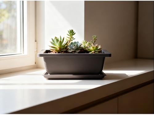 15 PCS 8.8 Inch Bonsai Training Pots, Bonsai Tree Growing Pots with 15 Drainage Trays, Plastic Bonsai Planter for Garden, Yard, Office, Porch, Balcony, Home Decoration - Image 7