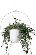 Hanging Planter Indoor Modern Boho Plant Pot Metal Wall and Ceiling Plant Holder, Mid Century Minimalist Flower Pot for Hanging Plants(White) by ABETREE