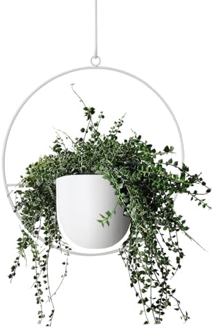 Hanging Planter Indoor Modern Boho Plant Pot Metal Wall and Ceiling Plant Holder, Mid Century Minimalist Flower Pot for Hanging Plants(White) by ABETREE