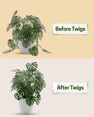 Stackable Monstera Plant Support Stakes, Monstera Dark Green, 10-Pack 17" L - Image 4