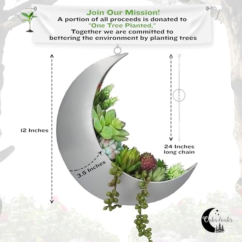 Hanging Moon Planter for Moon Room Decor - Great for Succulents, Air Plant, Mini Cactus, Faux, Artificial Plants-Boho Hanging Planters for Indoor Plants, Witchy Gifts for Women, Birthdays,Plant Lovers - Image 2