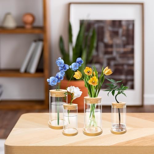 8 Pcs Plant Terrarium Desktop Glass Planter Plant Propagation Tabletop Propagation Vase Containers with Cork and Wooden Saucer for Growing Hydroponic Plants Garden Home Office Decor- - Image 4