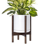 D'vine Dev Ceramic Pot with Walnut Wood Stand, White, 10 in, 55-B-X-1 by DvineDevPlanterPotsandStand
